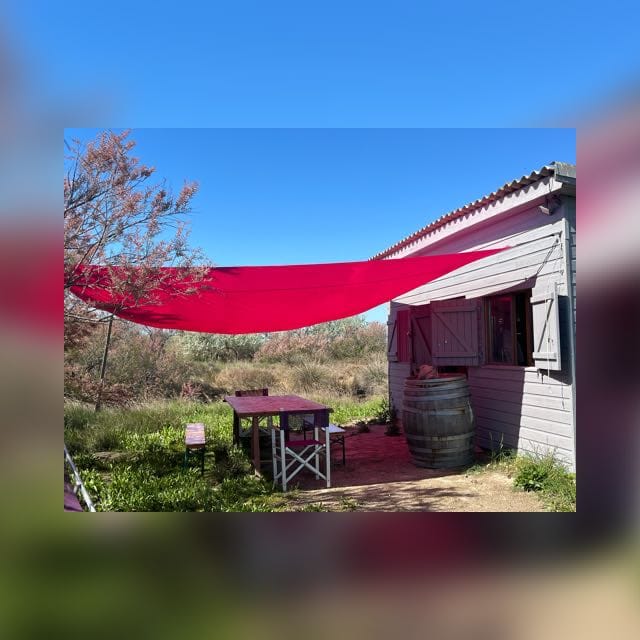 Barbecue au bord des étangs